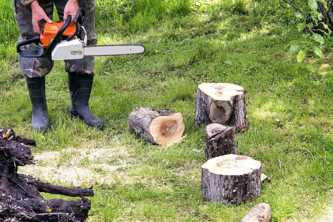 This is a picture of a stump grinding service.